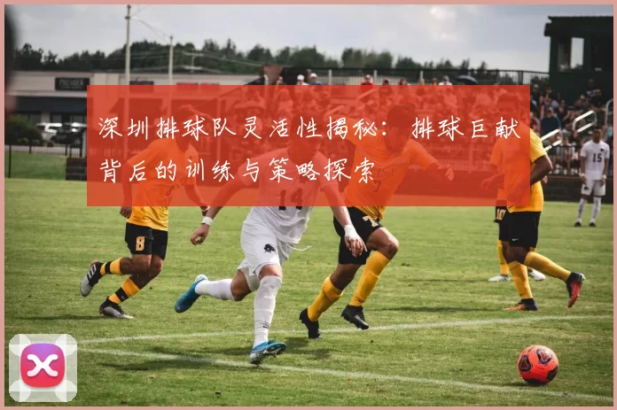 深圳排球队灵活性揭秘：排球巨献背后的训练与策略探索