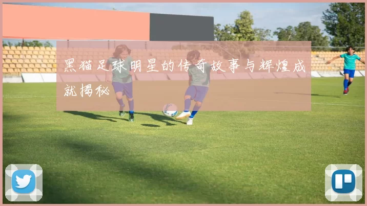 黑猫足球明星的传奇故事与辉煌成就揭秘