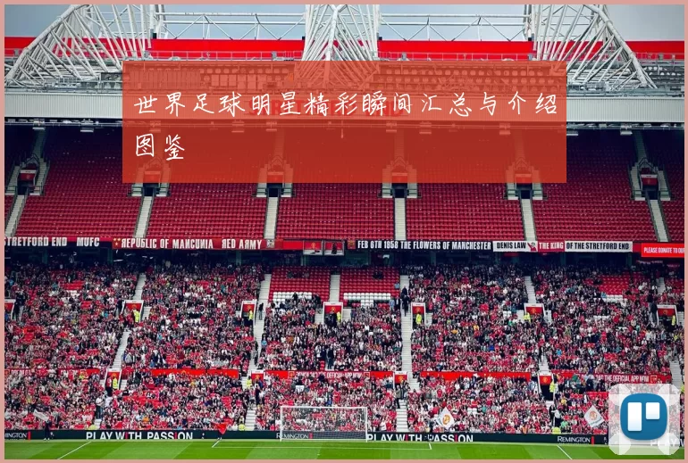 世界足球明星精彩瞬间汇总与介绍图鉴