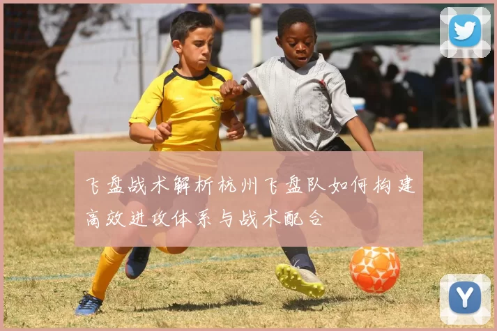 飞盘战术解析杭州飞盘队如何构建高效进攻体系与战术配合